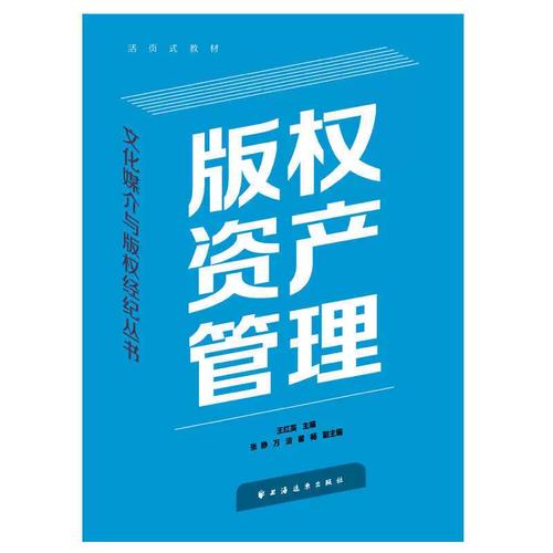 版权资产管理(文化媒介与版权经纪丛书) 王红英